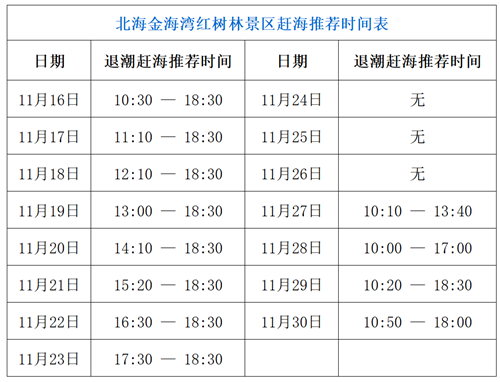 北海红树林赶海时刻11月下旬