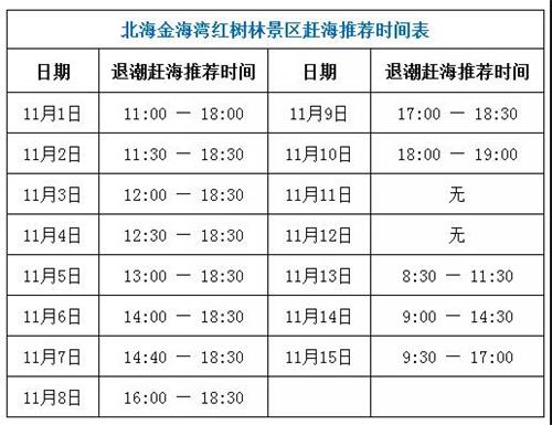 北海红树林赶海时刻11月上旬