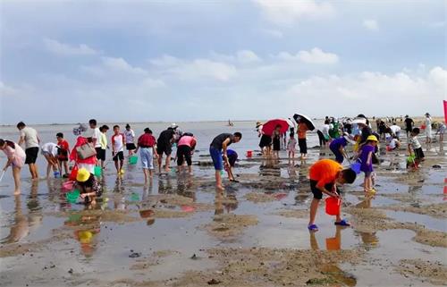 北海红树林赶海