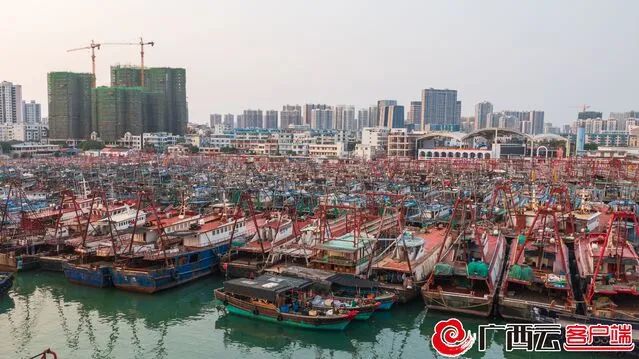 停泊在电建渔港的渔船